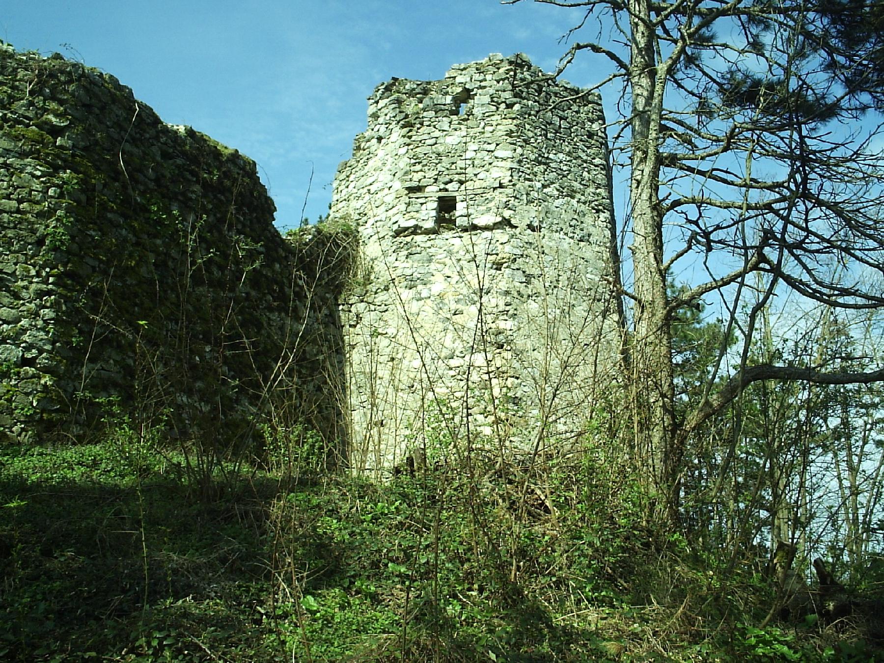 Podzvizd Graditeljska cjelina - utvrđeni grad